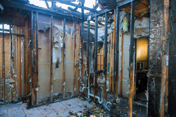 Professional Fire Damage Removal technician working in Trumann, AR